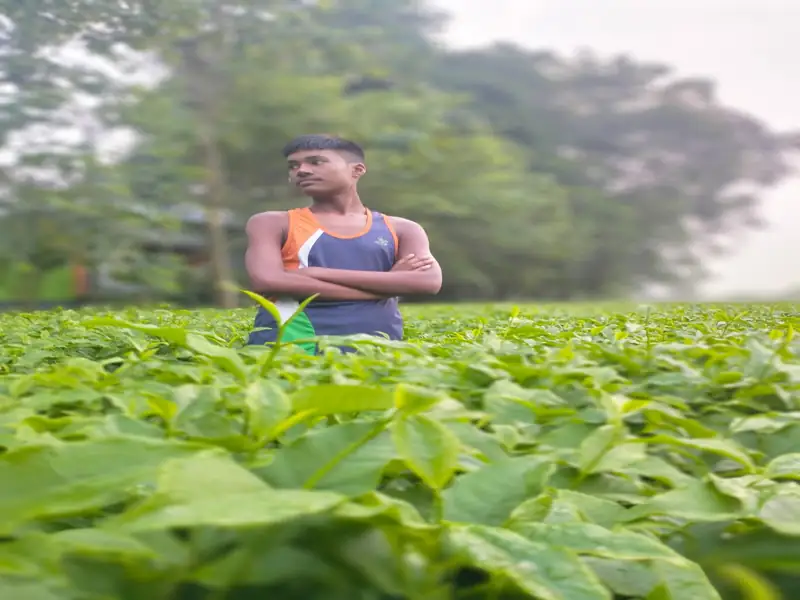 Malda to Moynaguri Cab
