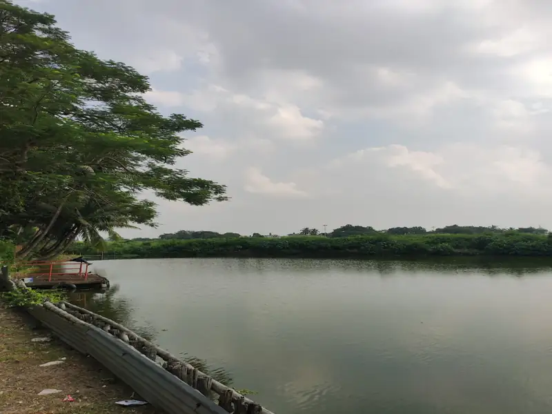 Siliguri to Champdani Cab