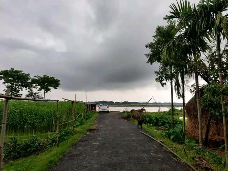 Darjeeling to Falakata Cab