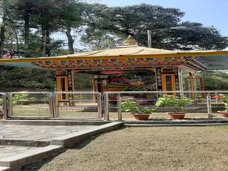Gangtok to Deorali Orchid Sanctuary Cab