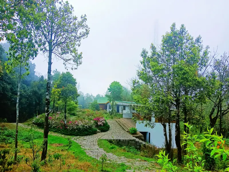 Gangtok to Fambong La Wildlife Sanctuary Cab