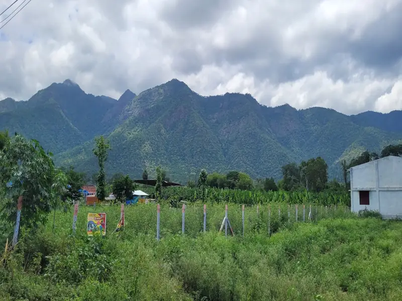 Gangtok to Kamey Road Cab