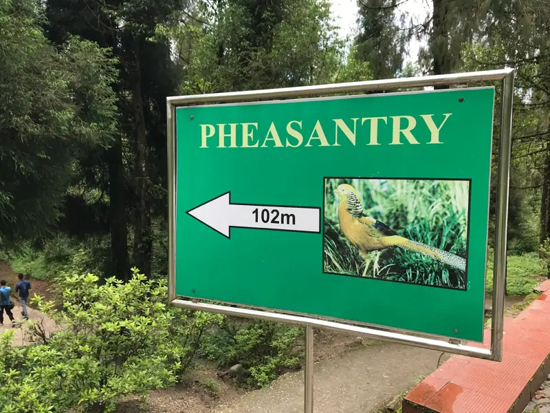 Gangtok to Sikkim Himalayan Zoo Cab