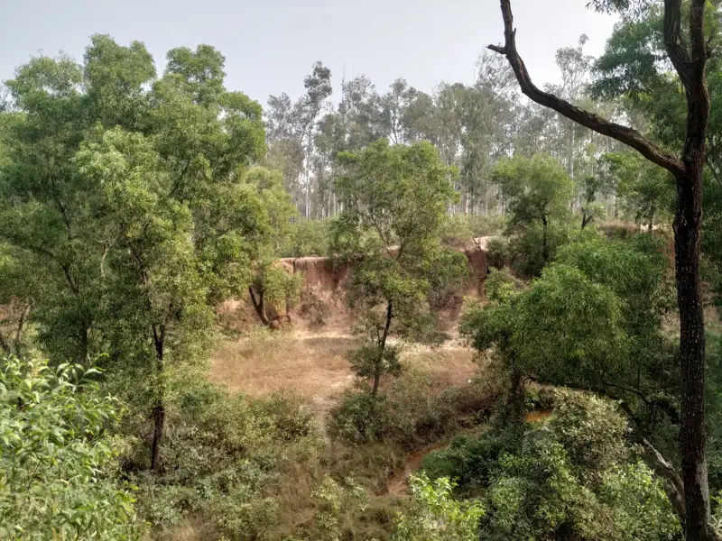 Siliguri to Bolpur Cab