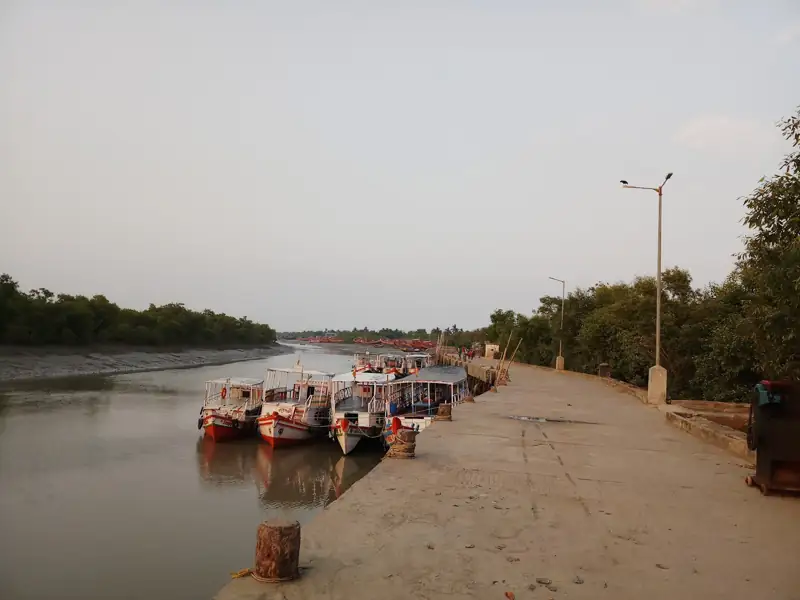 Siliguri to Henry,island Cab