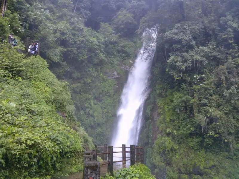 Siliguri to Neora Valley National Park Cab