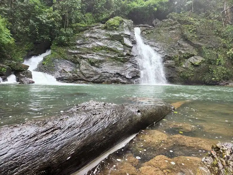 Best Place to Visit in  Agumbe