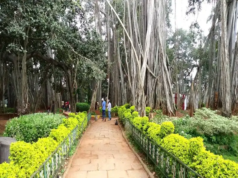 Best Place to Visit in  Big-banyan-tree