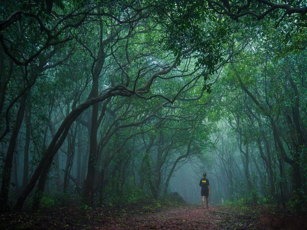 Best Place to Visit in  Matheran